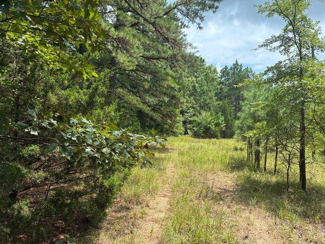 Land for sale in Ark