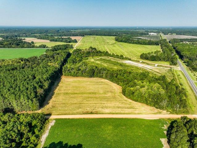 Land for sale in Geneva, Alabama