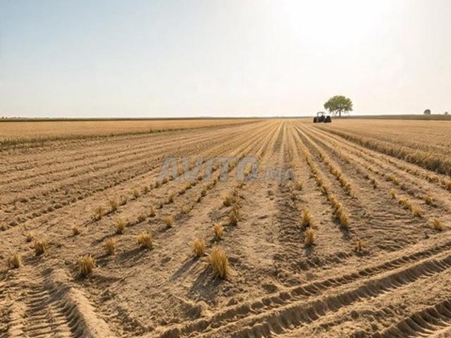 Propriété vente à Larache, Tanger-Tétouan