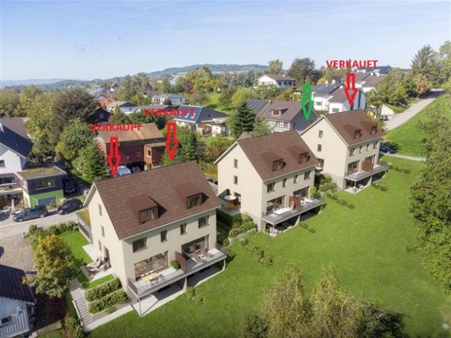 Einfamilienhaus kaufen in Berg (TG), Thurgau