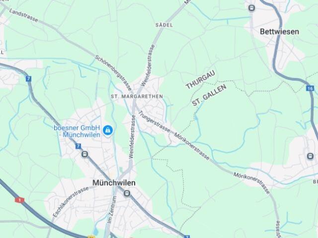 Einfamilienhaus kaufen in St. Margarethen (TG), Thurgau