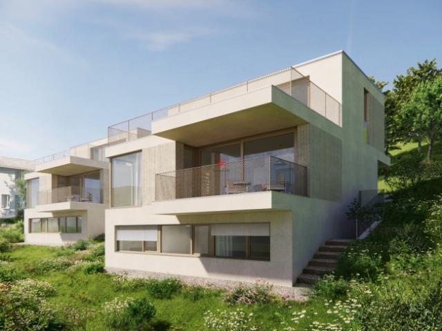 Einfamilienhaus kaufen in Flüh, Hofstetten-Flüh