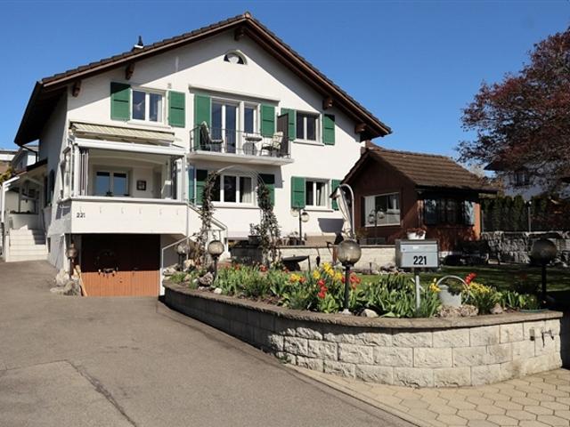 Einfamilienhaus kaufen in Zetzwil, Aargau