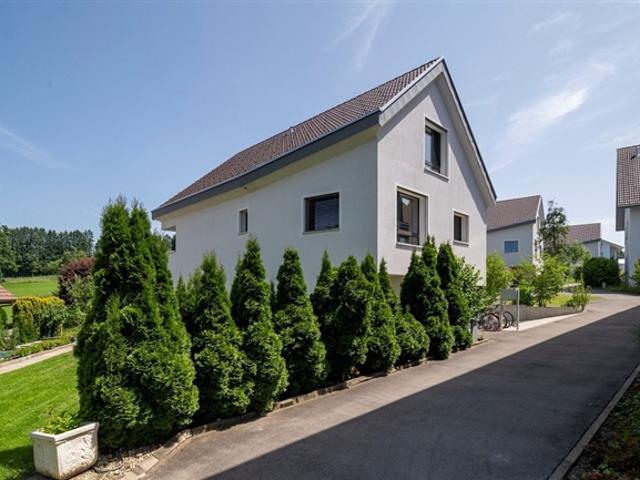 Einfamilienhaus kaufen in Rudolfstetten, Aargau