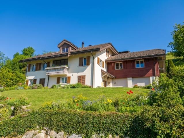 Mehrfamilienhaus kaufen in Oberbipp, Bern