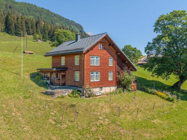 Haus kaufen in Braunwald, Glarus