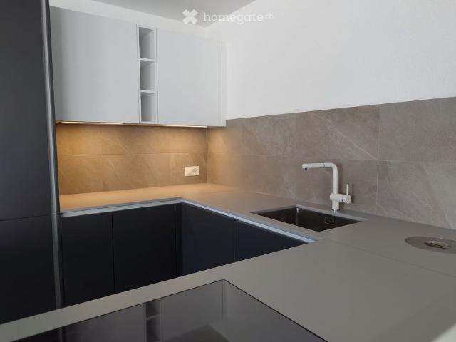 Apartment mieten in Breitenbach, Solothurn