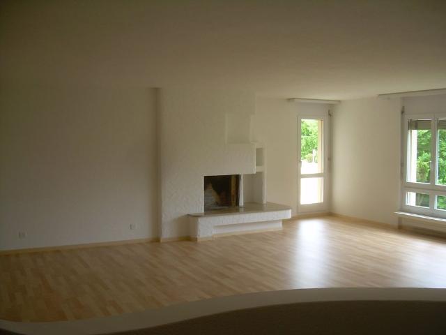Apartment mieten in Unterengstringen, Zürich