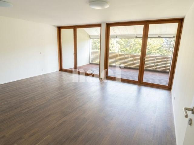 Apartment mieten in L'Oujonnet, Bursinel