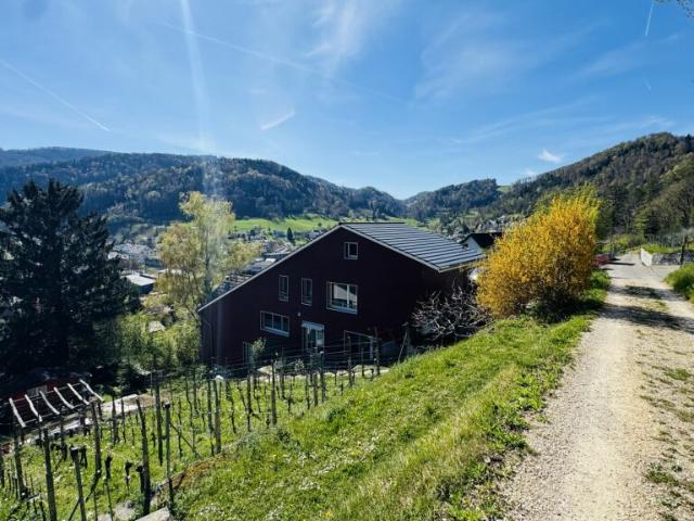 Einfamilienhaus kaufen in Oberdorf (BL), Basel-Landschaft