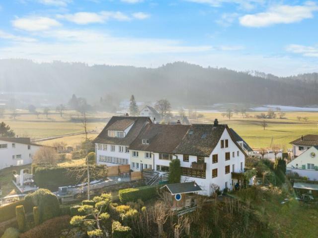 Reihenfamilienhaus kaufen in Egg, Zürich