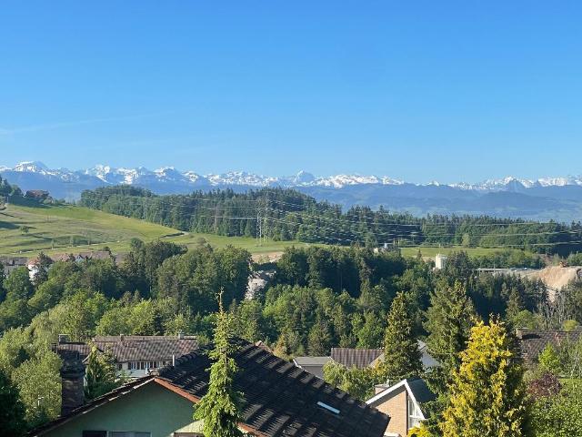 Einfamilienhaus kaufen in Adetswil, Bäretswil