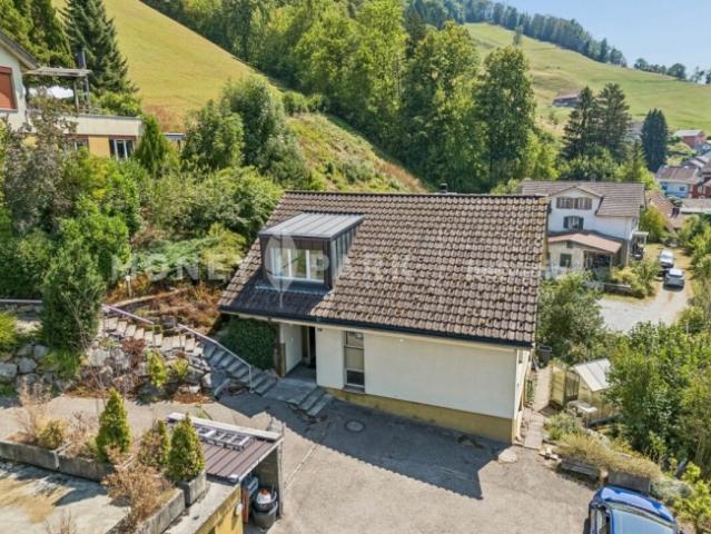 Einfamilienhaus kaufen in Wattwil, St. Gallen