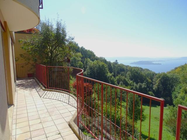 Terrassenwohnung kaufen in Twann-Tüscherz, Bern