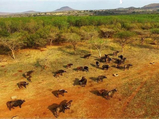 Property for sale in Ehlanzeni, Mpumalanga