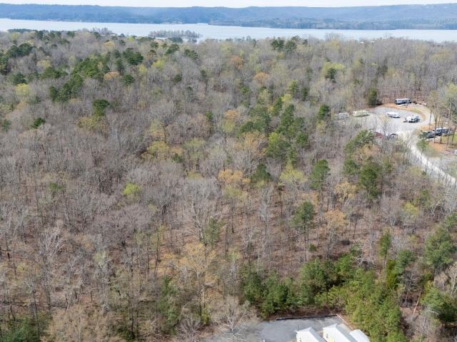 Land for sale in Langston, Alabama