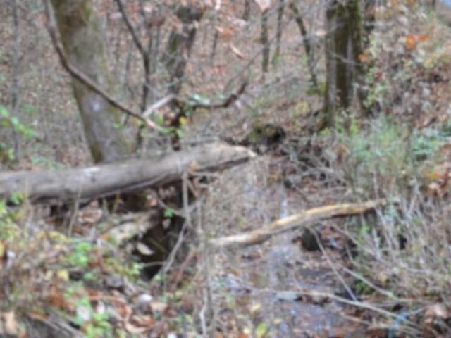 Land for sale in Tennessee