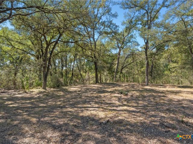 Land for sale in Lott, Texas