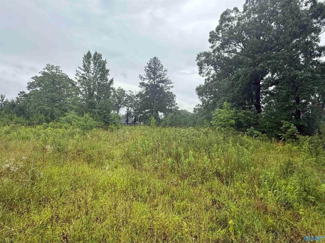Land for sale in Centre, Cherokee County