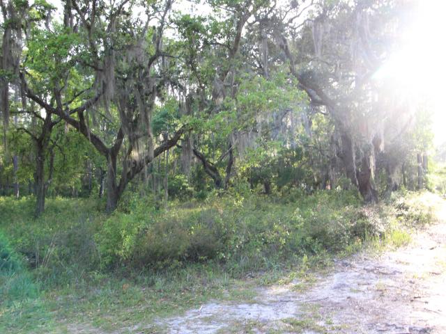 Land for sale in Panacea, Florida