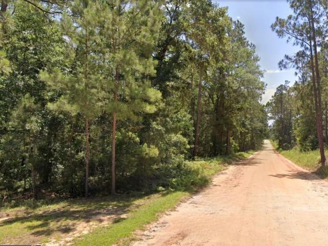 Land for sale in Lyons, Georgia