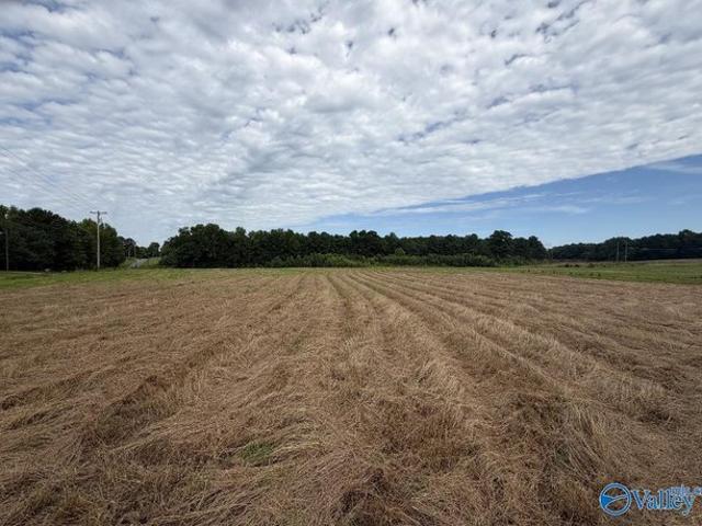 Land for sale in Guntersville, Alabama