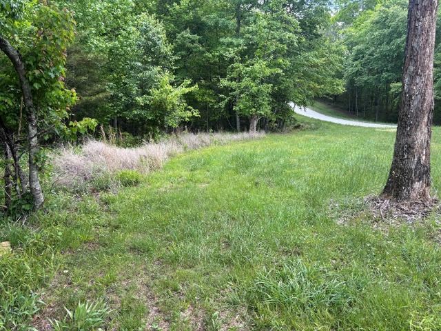 Land for sale in Tennessee