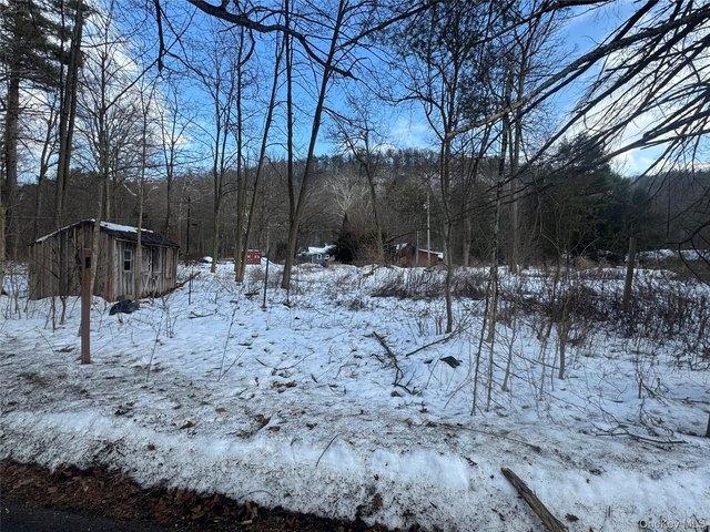 Land for sale in Godeffroy, New York