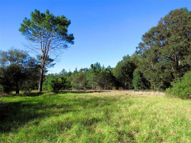 Land for sale in Groot Brak Rivier, Western Cape