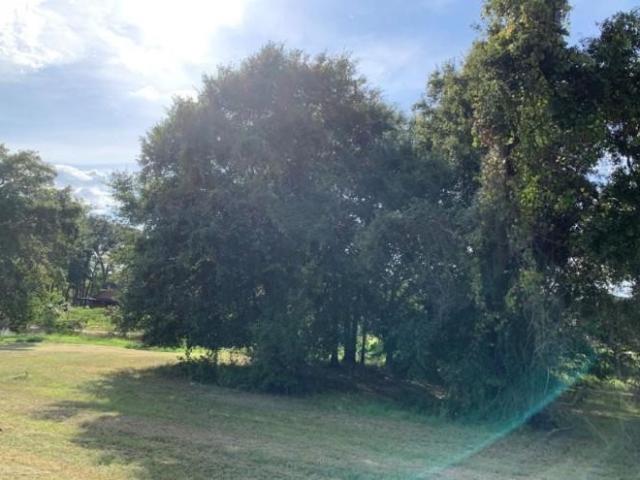 Land for sale in Walker, Texas