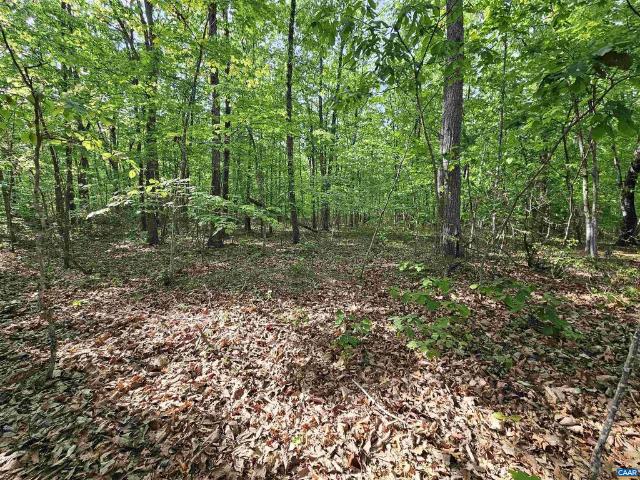 Land for sale in Virginia