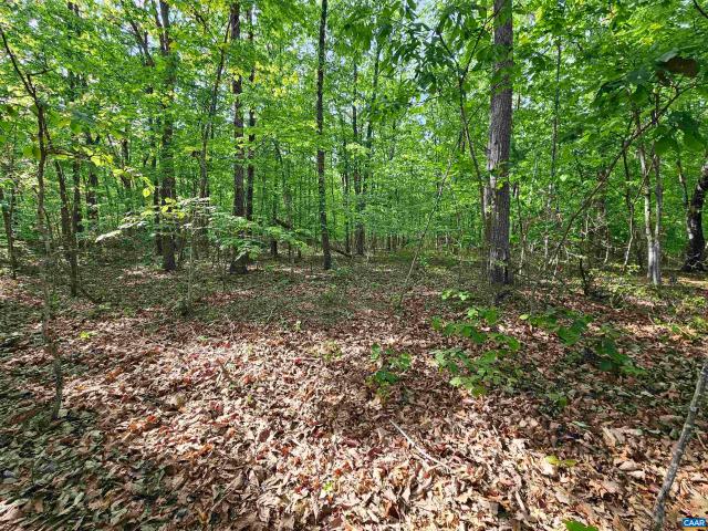 Land for sale in Virginia