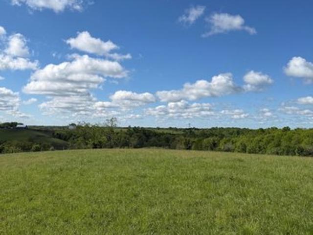 Land for sale in Williamstown, Kentucky