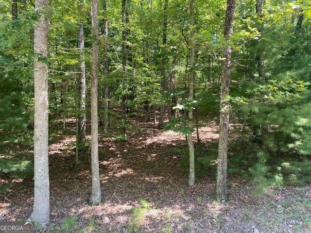 Land for sale in Blairsville, Georgia