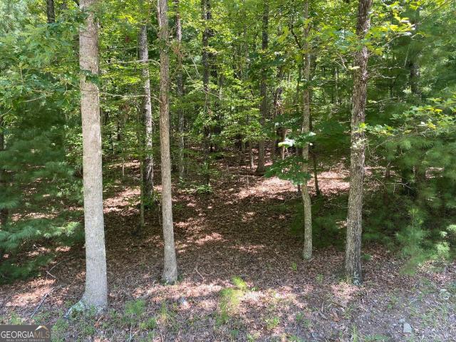Land for sale in Blairsville, Georgia