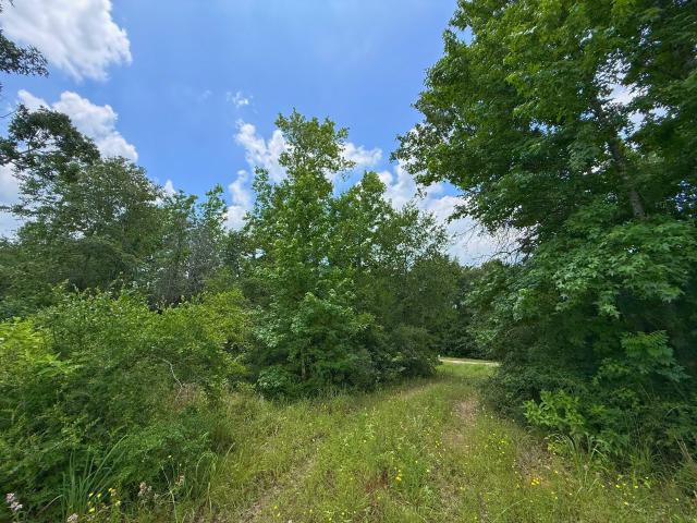 Land for sale in Leon, Texas
