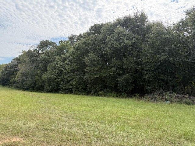 Land for sale in Headland, Henry County