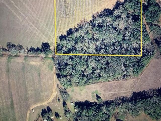 Land for sale in Headland, Henry County