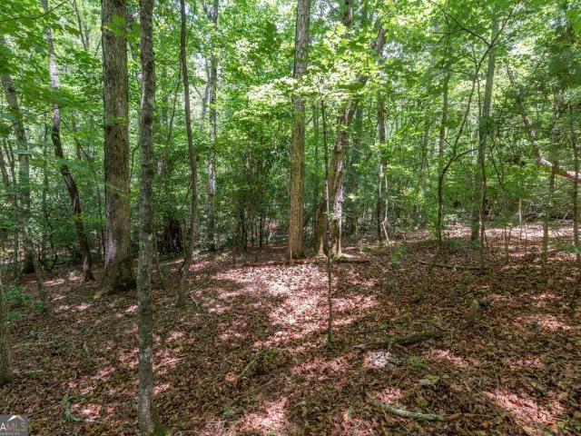 Land for sale in Blue Ridge, Georgia