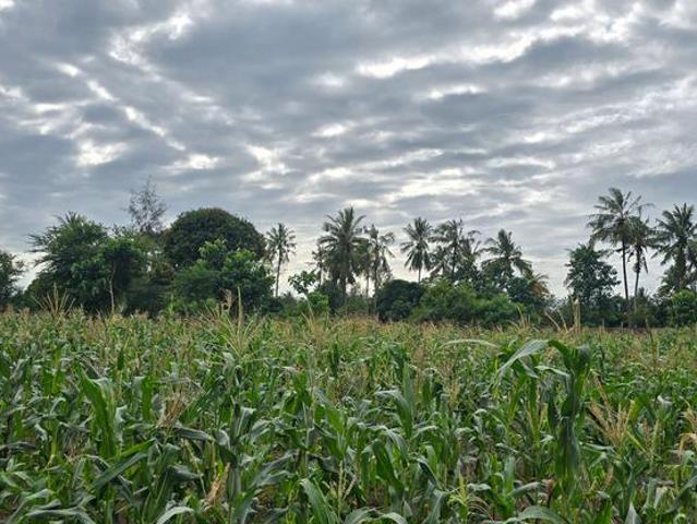 Land for sale in Kikambala, Kilifi