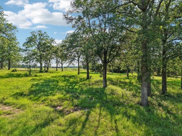Land for sale in Giddings, Texas