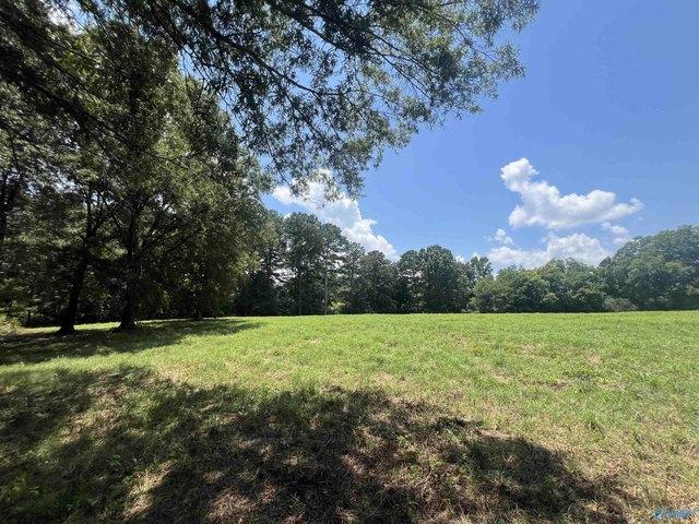 Land for sale in Albertville, Alabama