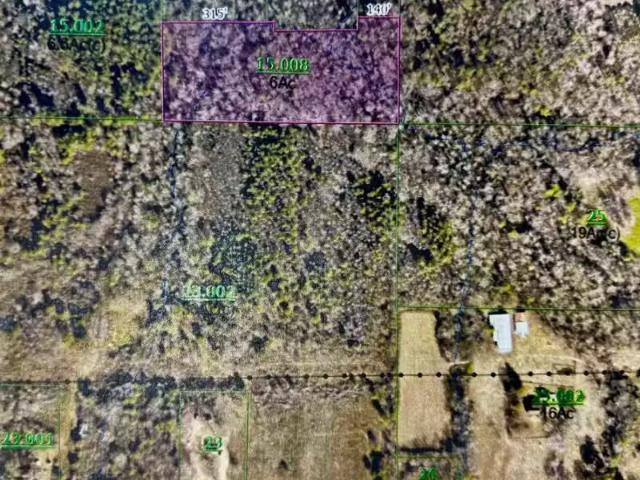 House for rent in Flat Rock, Alabama