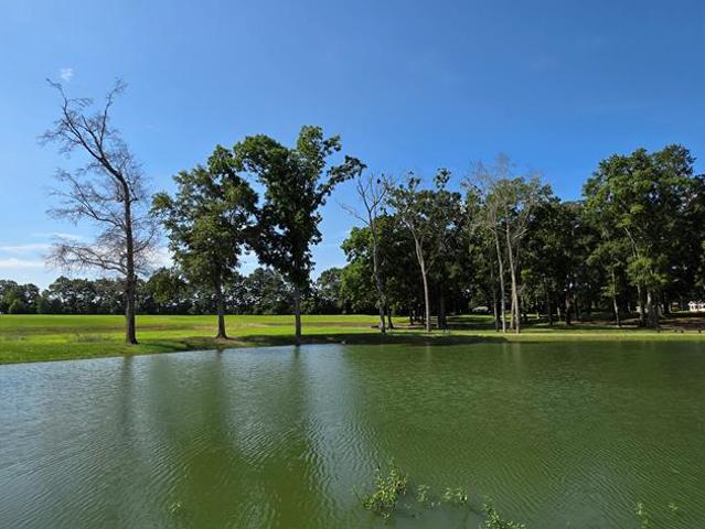 Land for sale in Geneva, Alabama