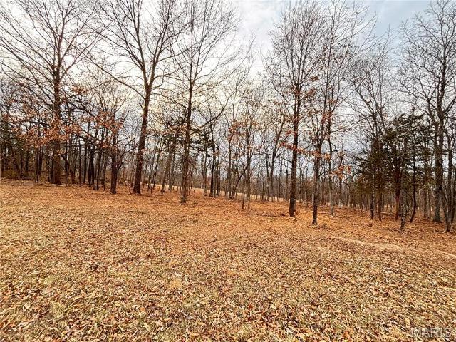 Land for sale in Marthasville, Missouri