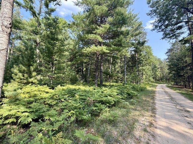 Land for sale in Vanderbilt, Michigan