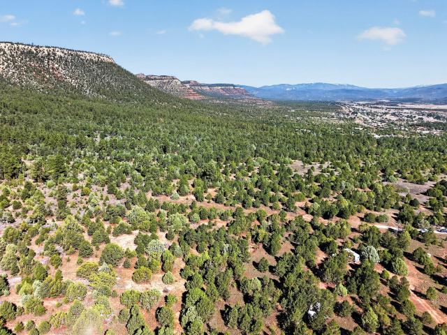 Land for sale in San Miguel County, New Mexico