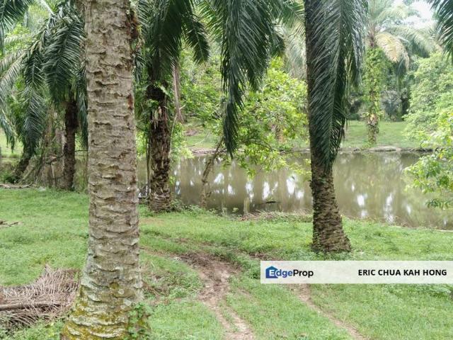 Shop for sale in Perak, Tronoh