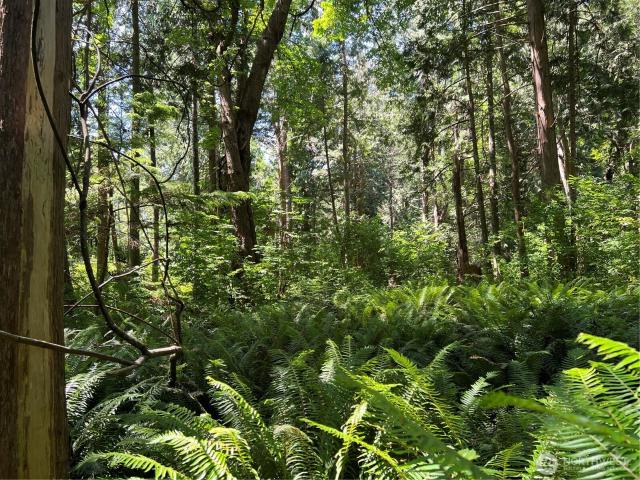 Land for sale in Point Roberts, Whatcom County