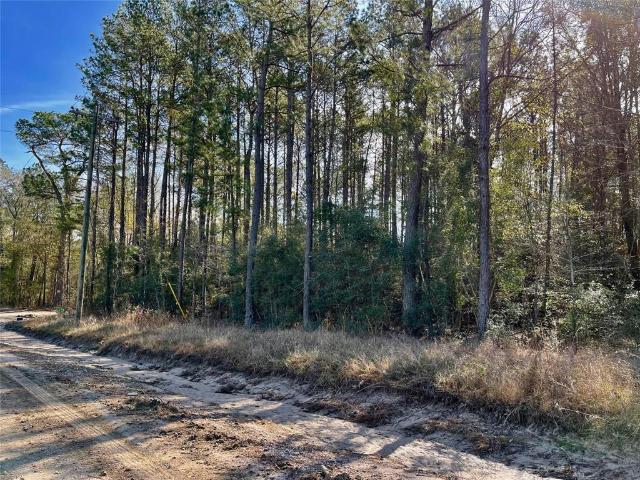 Land for sale in Colmesneil